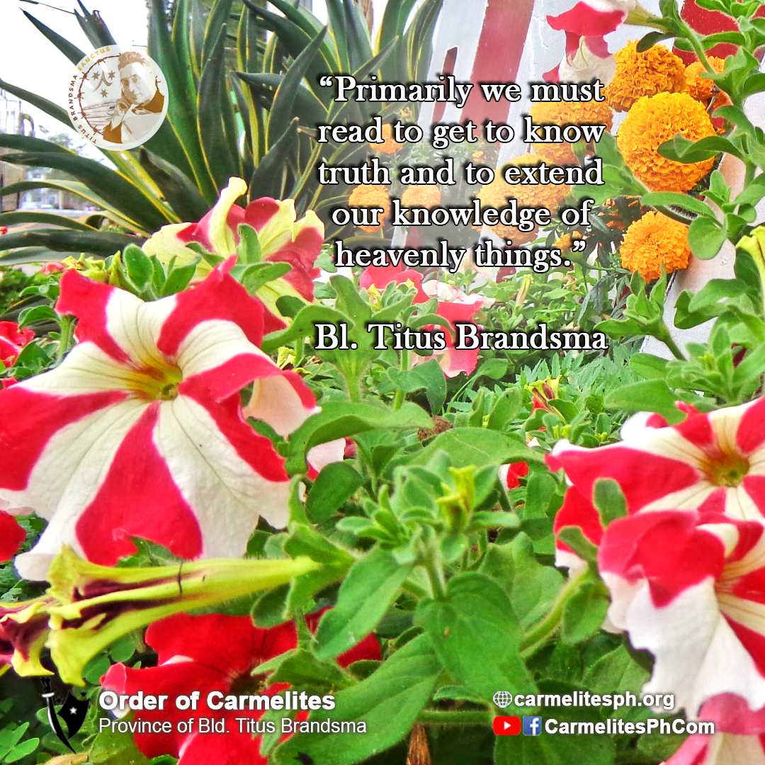 flowers-of-carmel-order-of-carmelites